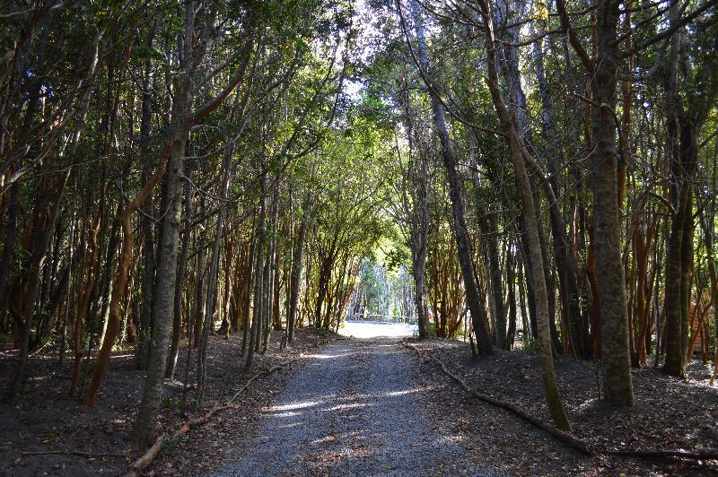 מלון פורטו ואראס Cabanas Ensenada Bosque Nativo מראה חיצוני תמונה