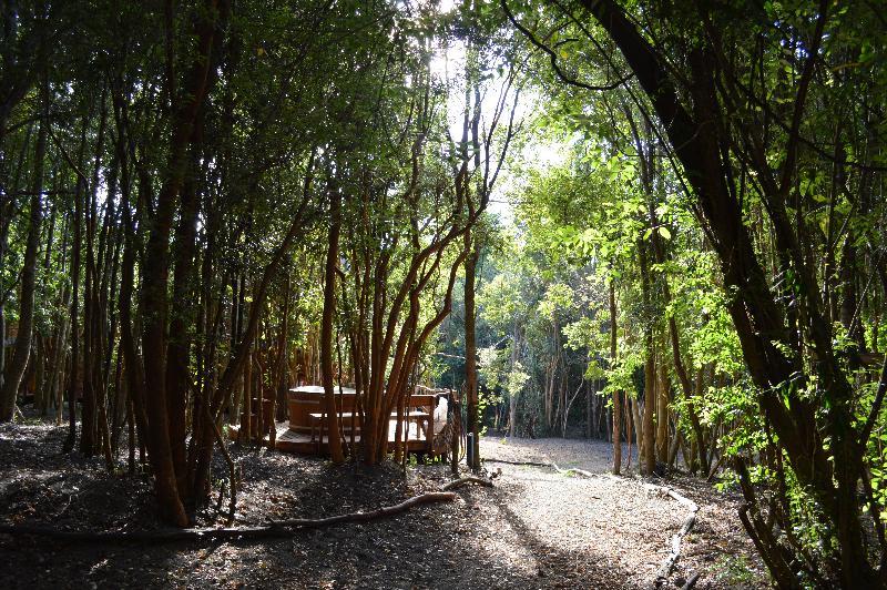 מלון פורטו ואראס Cabanas Ensenada Bosque Nativo מראה חיצוני תמונה